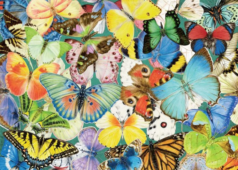 Butterflies Jigsaw Puzzle 500 Pieces Petrie's Family Games
